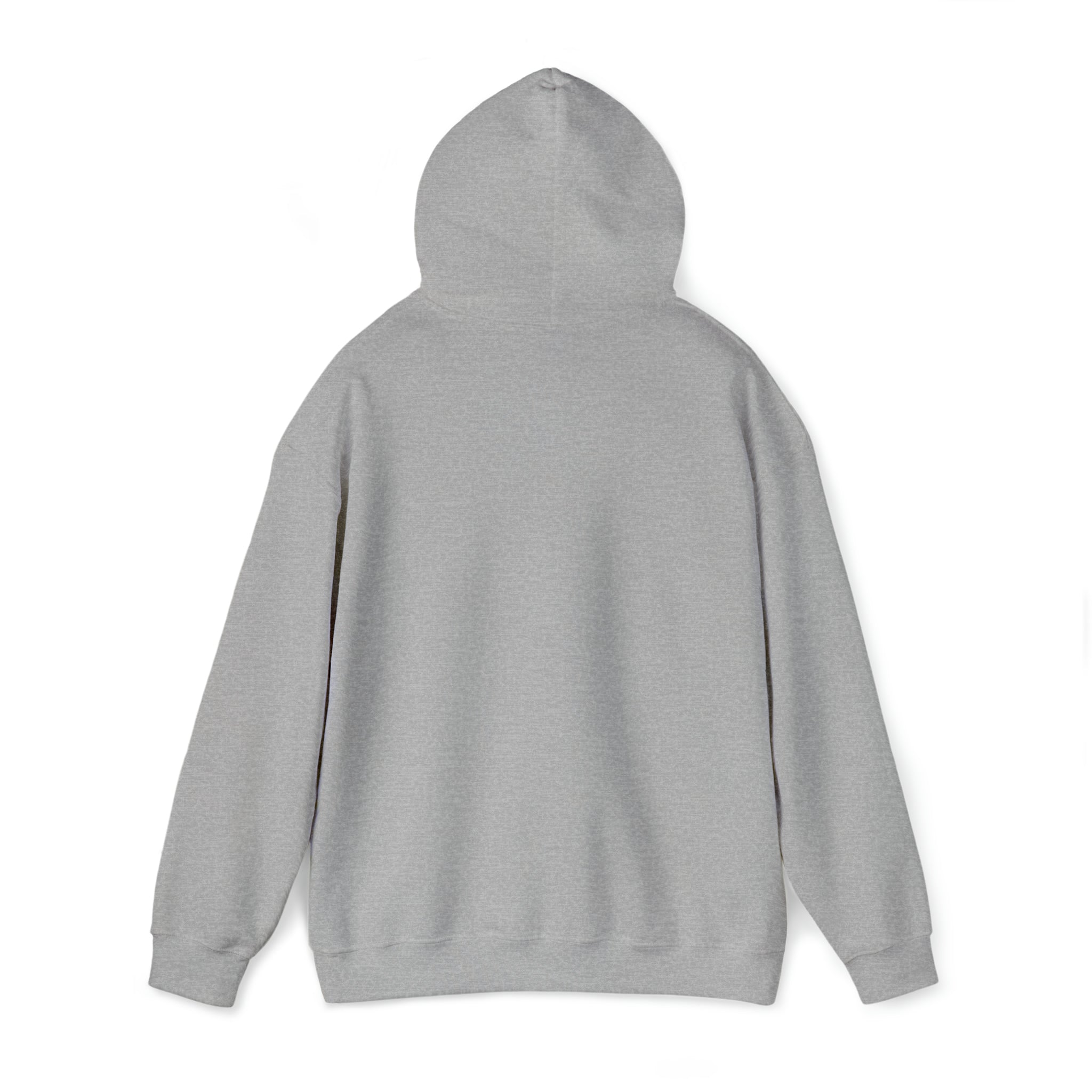 Unisex Heavy Blend Hooded Sweatshirt (BGear Front Design) – BGear